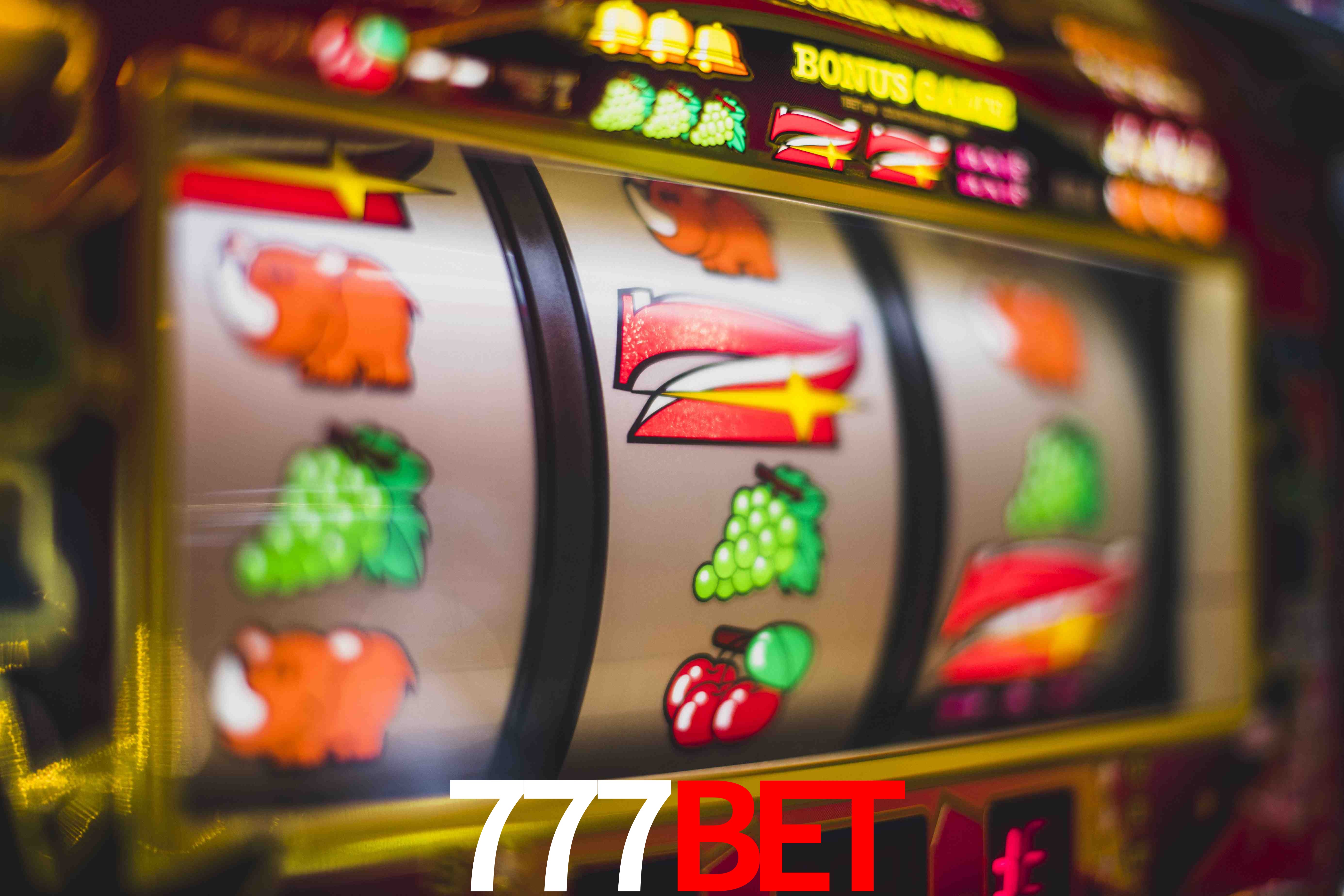Sports Statistics 777bet